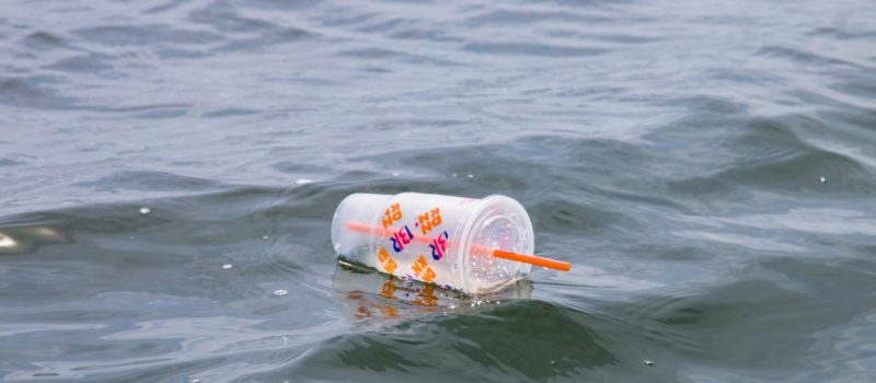 Hoe het beleid wegwerpplastics en zwerfafval kan verminderen