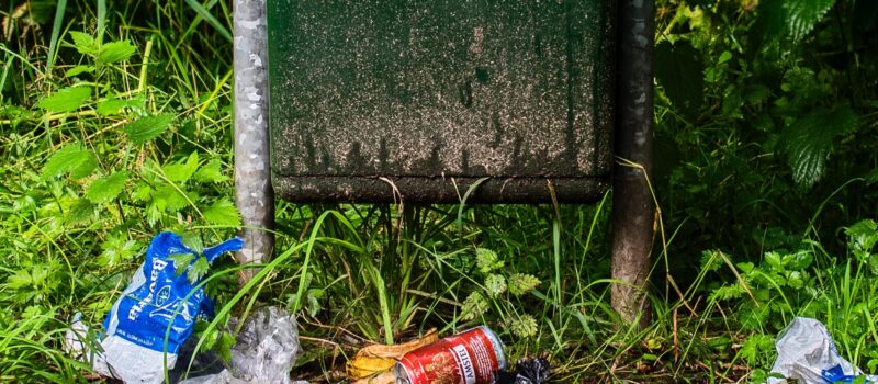 Study: tackling litter mainly helps producers of single-use products